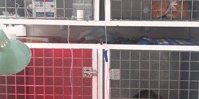 Hospitalización